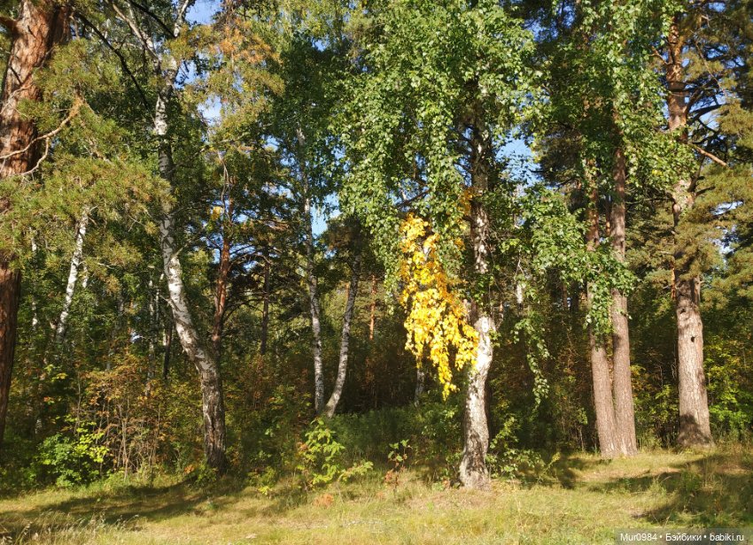 Прогулка Дженса и Роксаны