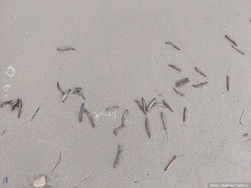 Отпуск во Владивостоке (часть 2)