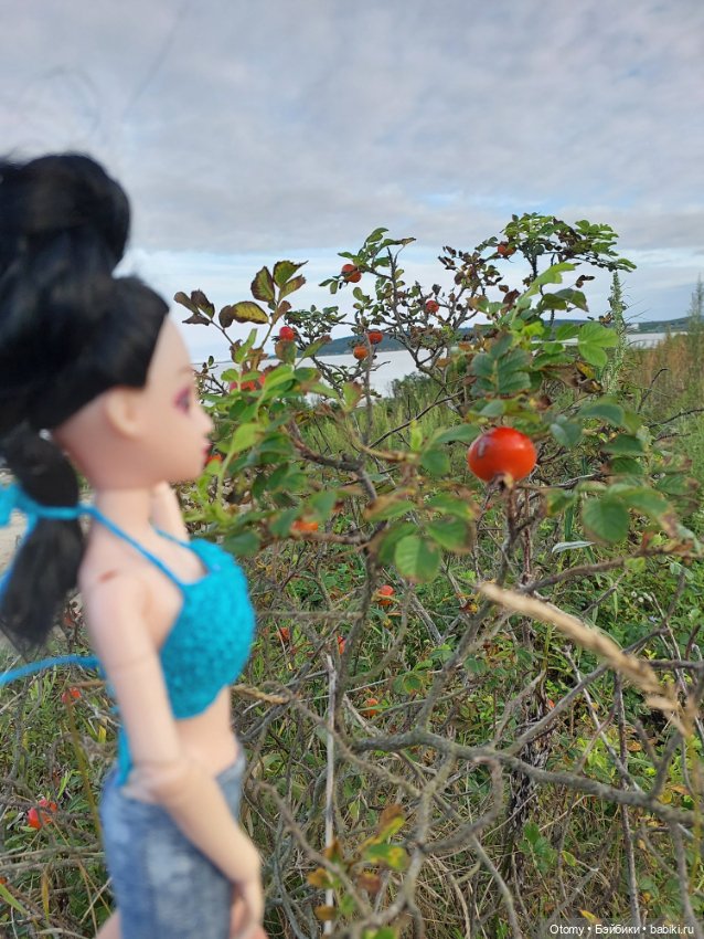 Отпуск во Владивостоке (часть 2)