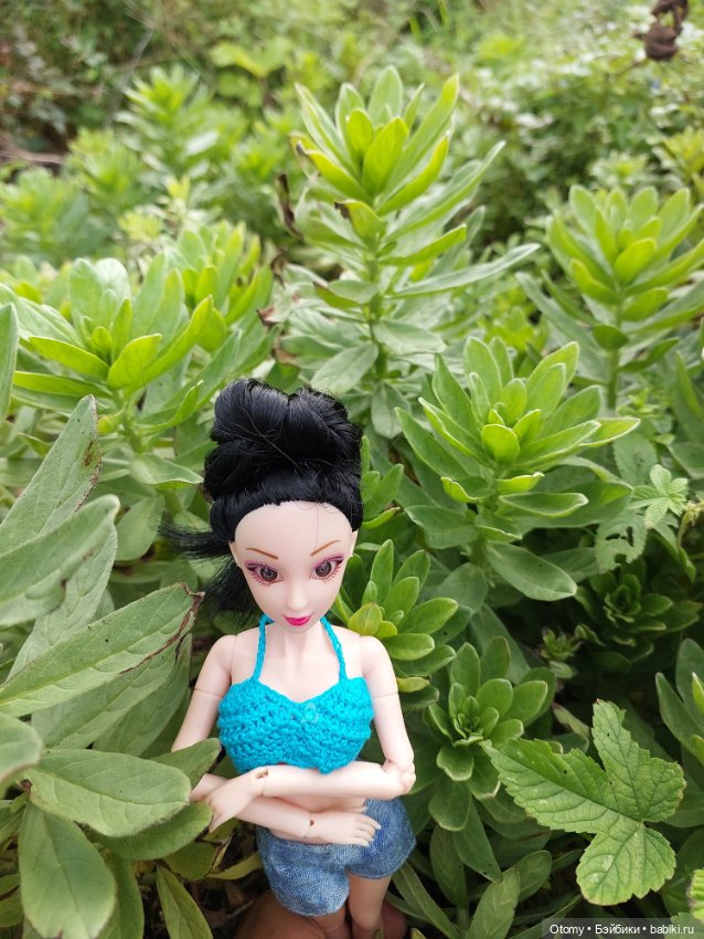 Отпуск во Владивостоке (часть 2) (фото 7)