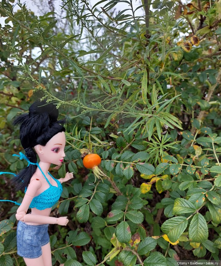 Отпуск во Владивостоке (часть 2)