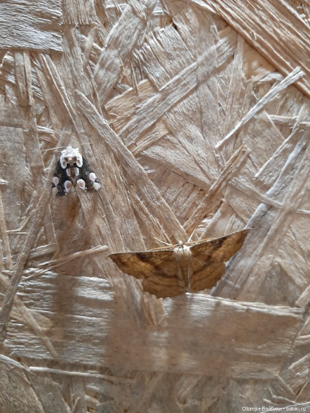 Отпуск во Владивостоке (часть 2)