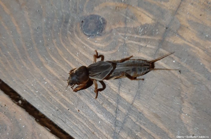 Отпуск во Владивостоке (часть 2)