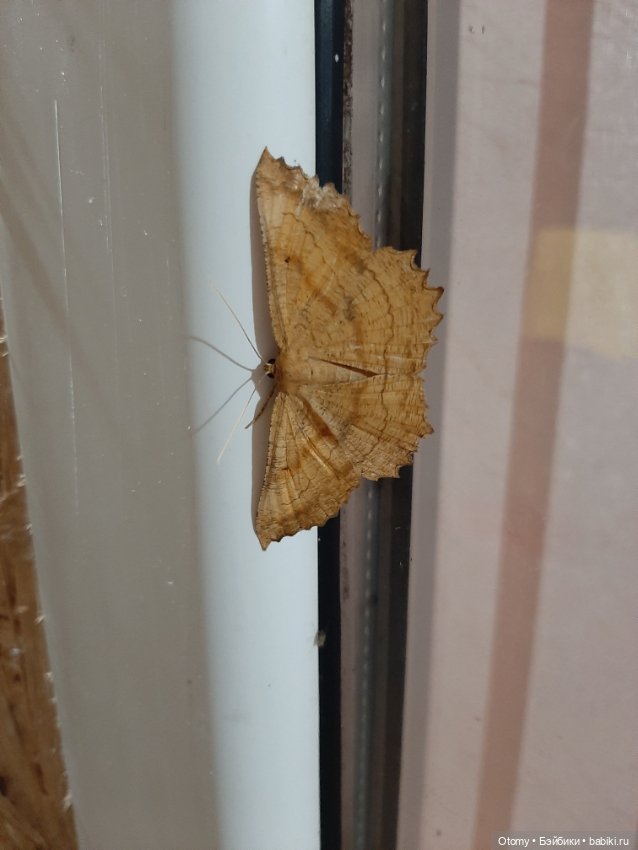 Отпуск во Владивостоке (часть 2)