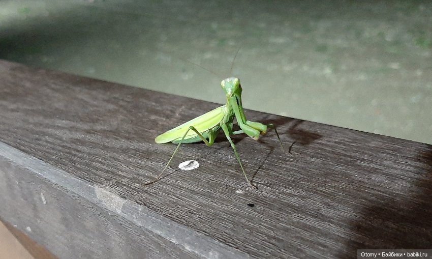 Отпуск во Владивостоке (часть 2)