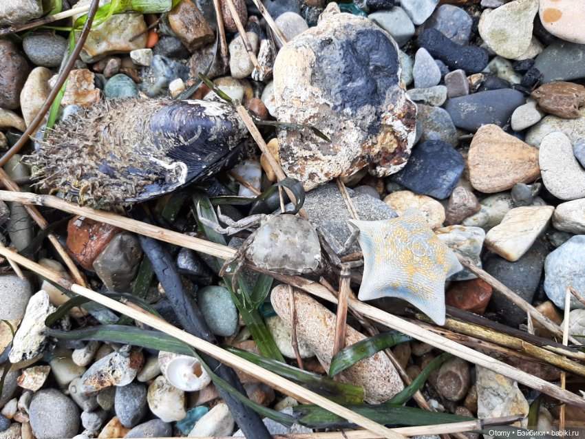 Отпуск во Владивостоке (часть 2)