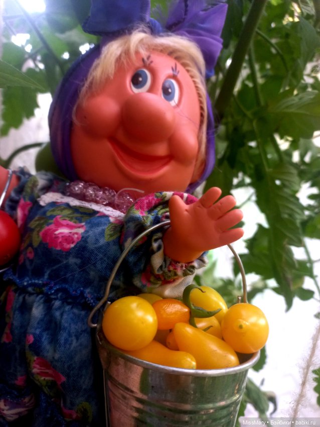 Веселые картинки. Фаина, Увэ и... помидоры