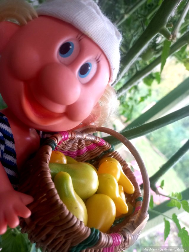 Веселые картинки. Фаина, Увэ и... помидоры