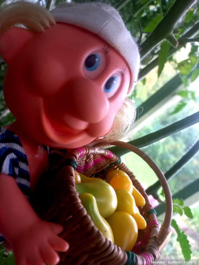 Веселые картинки. Фаина, Увэ и... помидоры