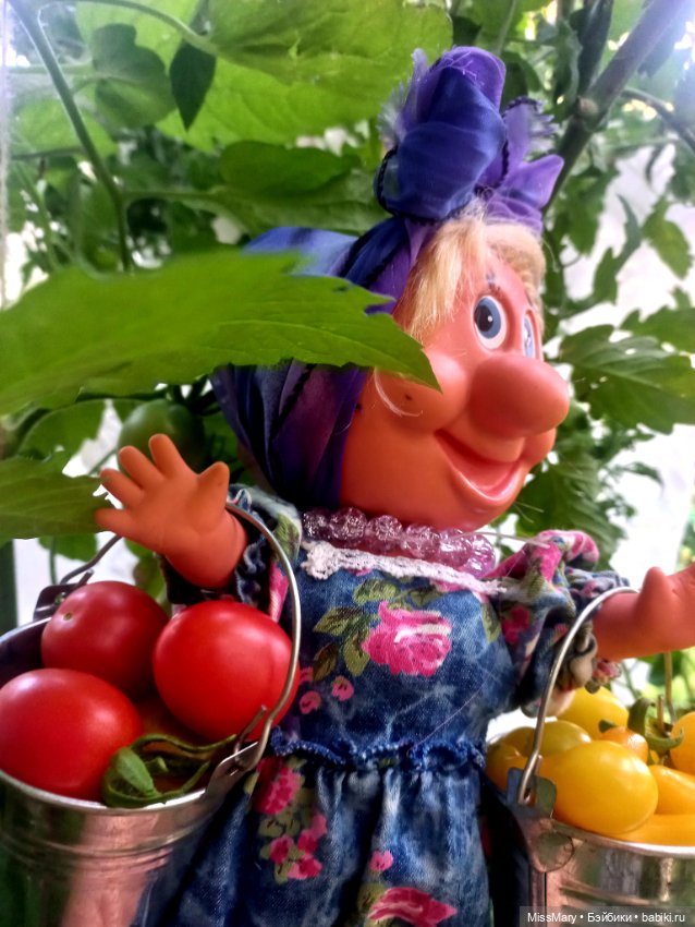 Веселые картинки. Фаина, Увэ и... помидоры