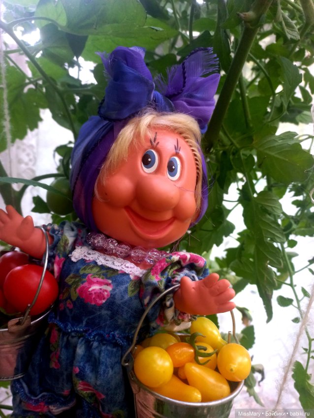 Веселые картинки. Фаина, Увэ и... помидоры