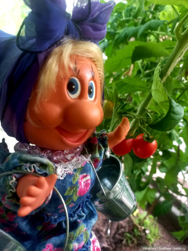 Веселые картинки. Фаина, Увэ и... помидоры (фото 2)