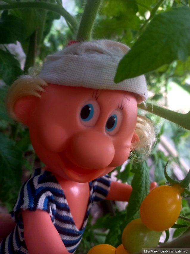 Веселые картинки. Фаина, Увэ и... помидоры