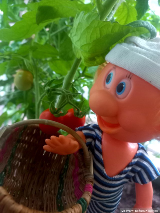 Веселые картинки. Фаина, Увэ и... помидоры (фото 5)
