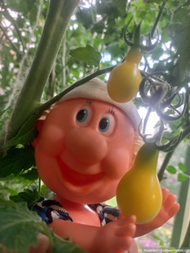 Веселые картинки. Фаина, Увэ и... помидоры