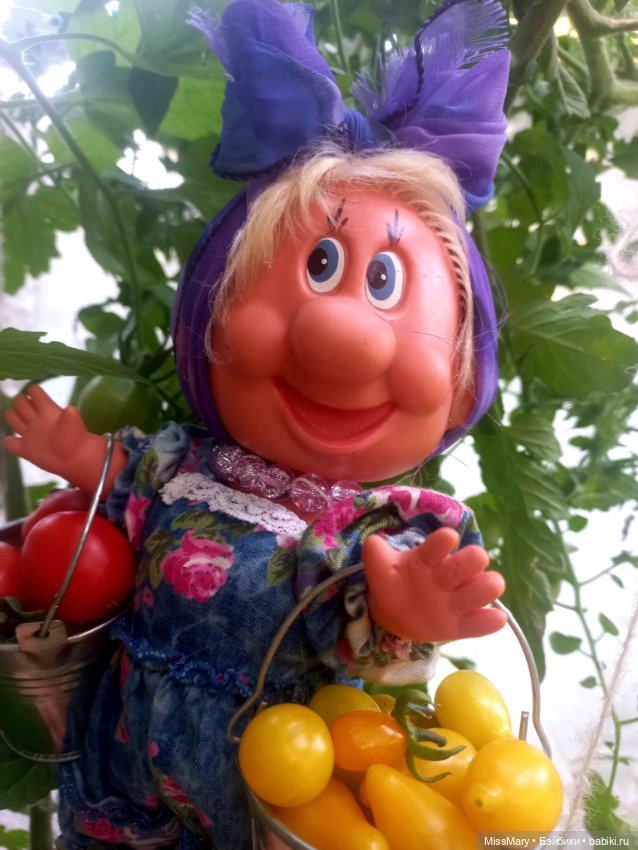 Веселые картинки. Фаина, Увэ и... помидоры