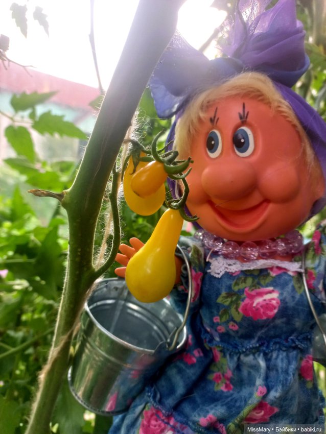 Веселые картинки. Фаина, Увэ и... помидоры (фото 3)