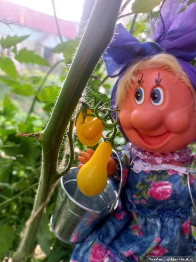 Веселые картинки. Фаина, Увэ и... помидоры