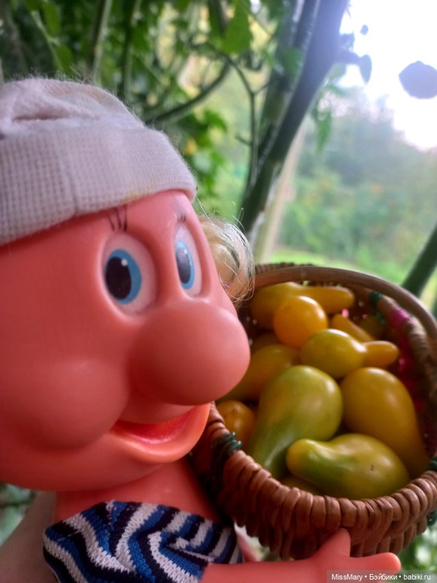 Веселые картинки. Фаина, Увэ и... помидоры