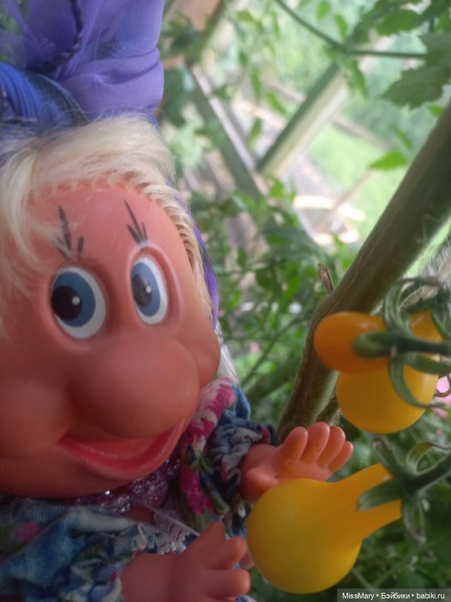 Веселые картинки. Фаина, Увэ и... помидоры (фото 10)