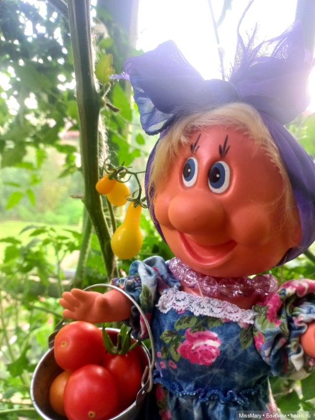 Веселые картинки. Фаина, Увэ и... помидоры (фото 9)