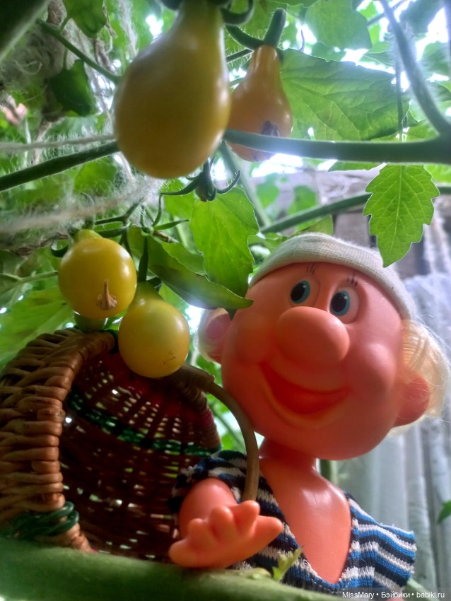 Веселые картинки. Фаина, Увэ и... помидоры (фото 8)