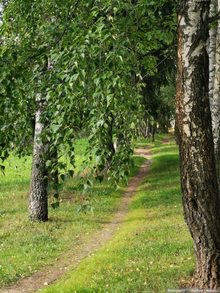 Унылая пора! Очей очарованье