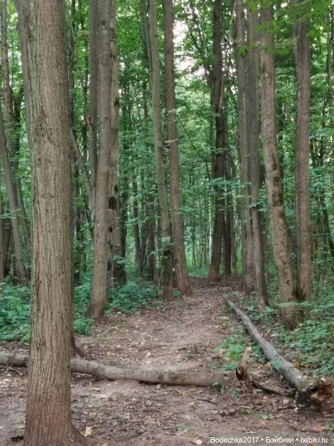 Унылая пора! Очей очарованье (фото 3)