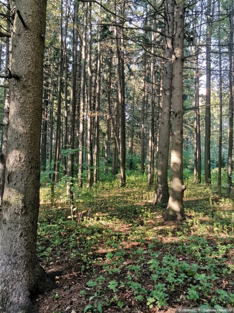 Унылая пора! Очей очарованье