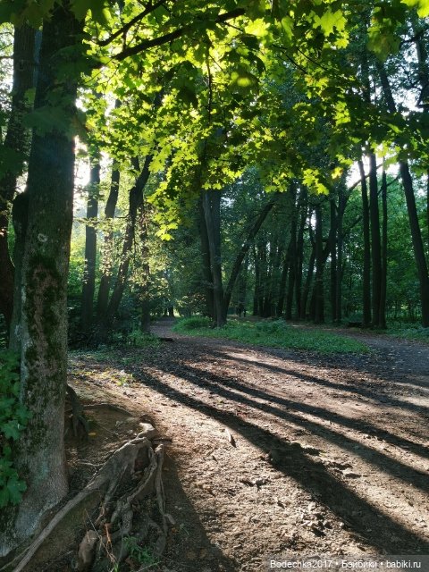 Унылая пора! Очей очарованье