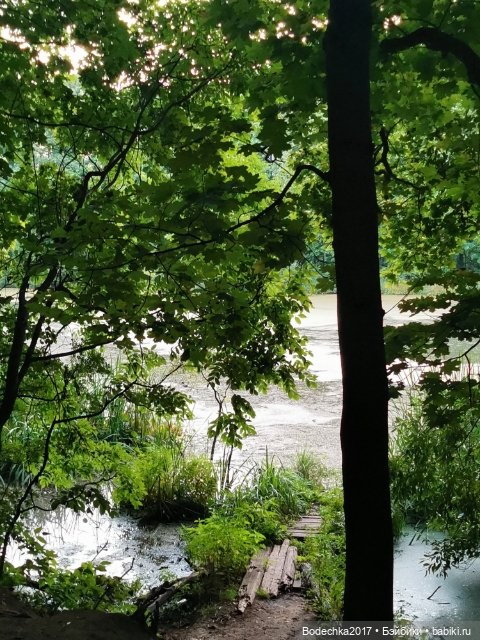 Унылая пора! Очей очарованье (фото 6)