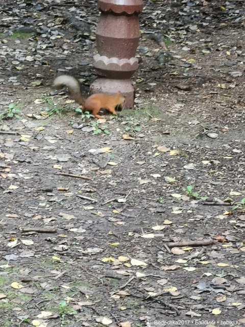 Унылая пора! Очей очарованье