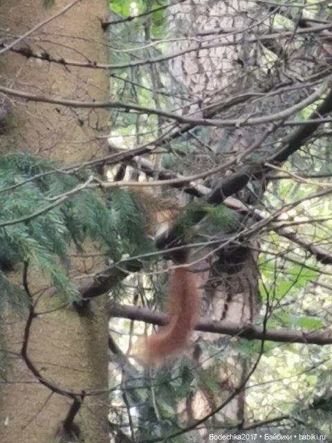 Унылая пора! Очей очарованье