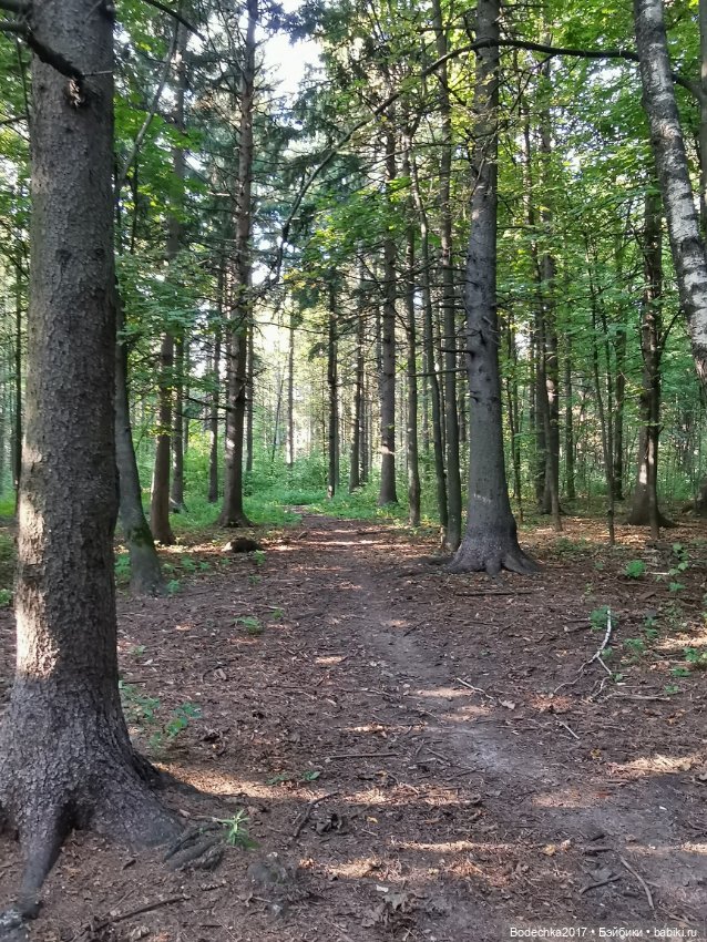 Унылая пора! Очей очарованье