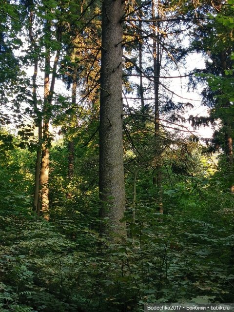 Унылая пора! Очей очарованье (фото 2)