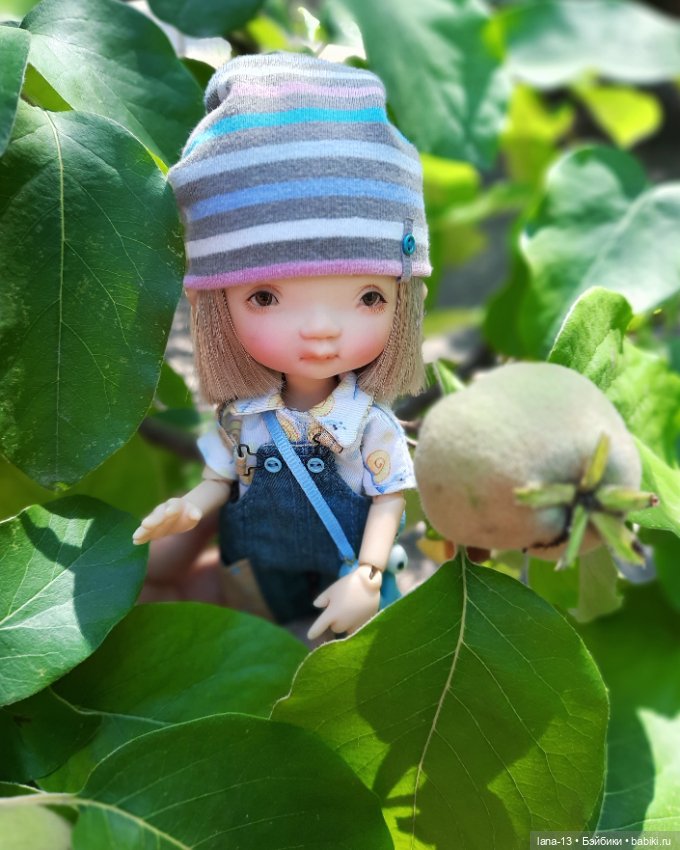 Новый сорт айвы — Одежда и обувь для кукол своими руками: фото