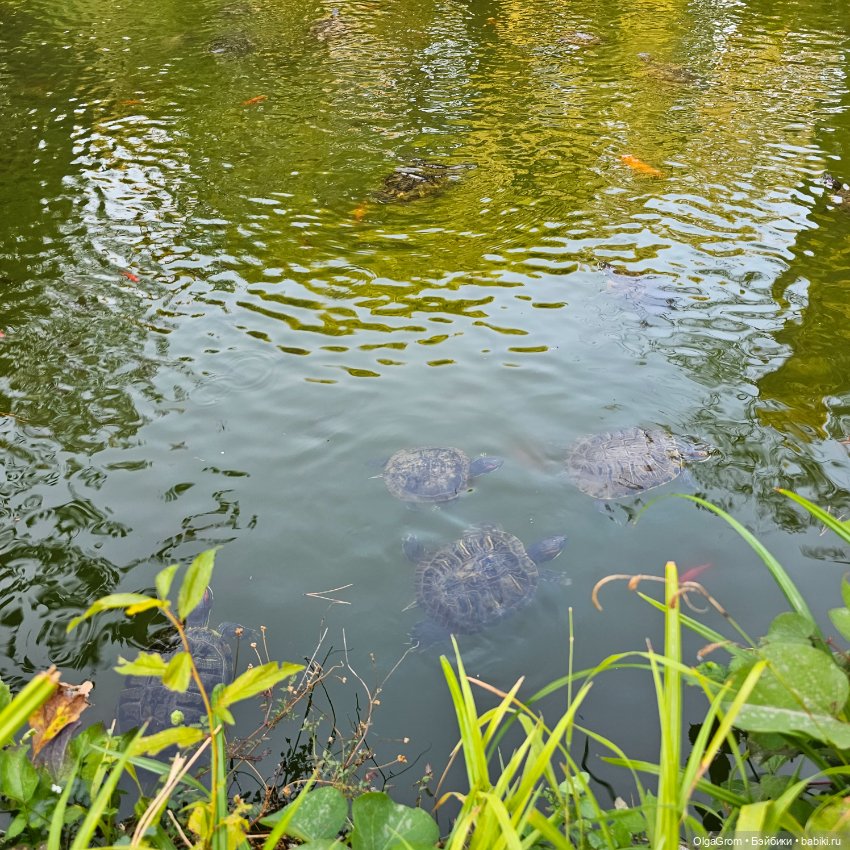 Последние дни лета - Куклы в отпуске, Прогулка