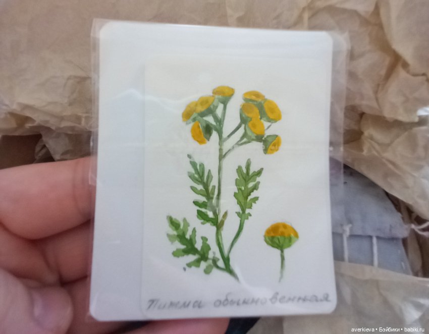 Чундра из тундры. Часть первая