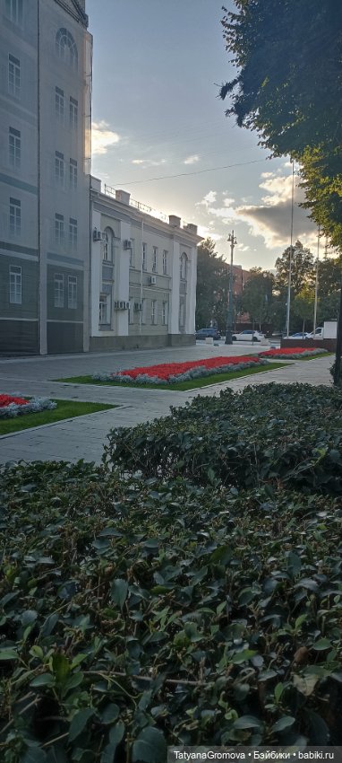 Сентябрь 2023 — Испанские виниловые куклы: Paola Reina (фото 2)