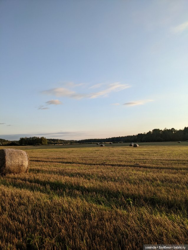 Осенний день — Куклы Blythe (Блайз) ООАК: кастом (фото 8)