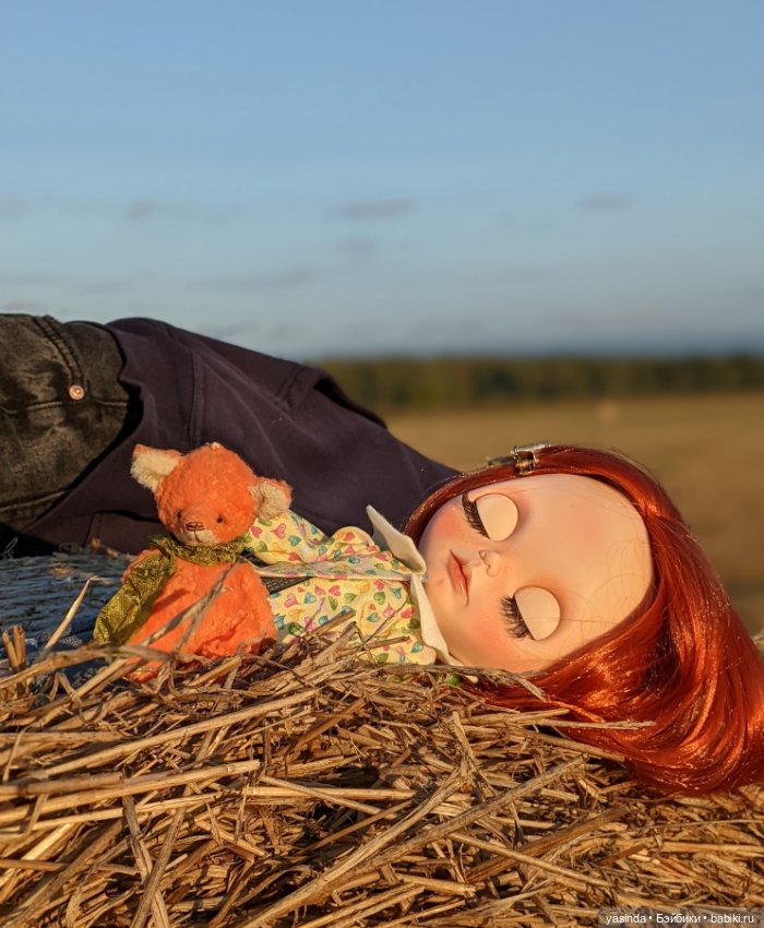 Осенний день — Куклы Blythe (Блайз) ООАК: кастом (фото 3)