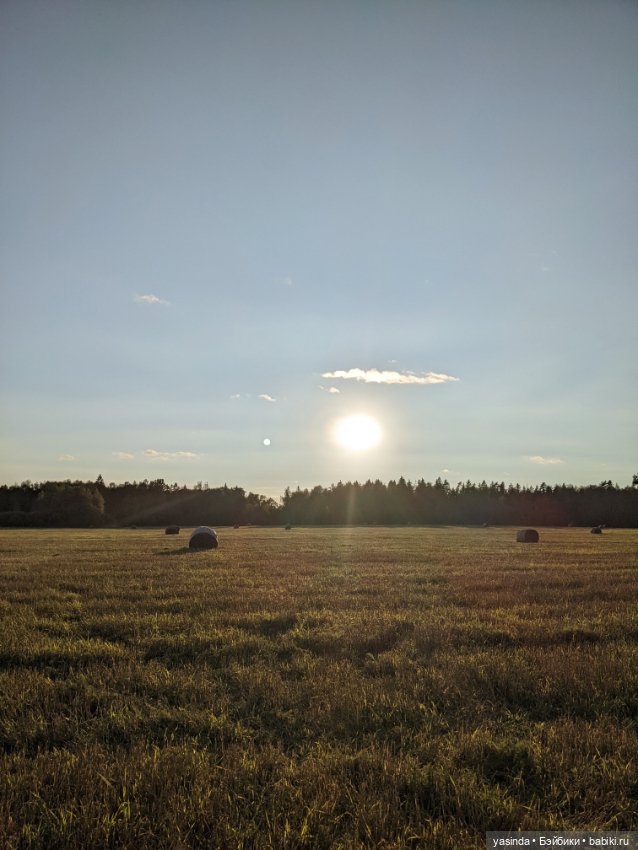 Осенний день — Куклы Blythe (Блайз) ООАК: кастом (фото 7)