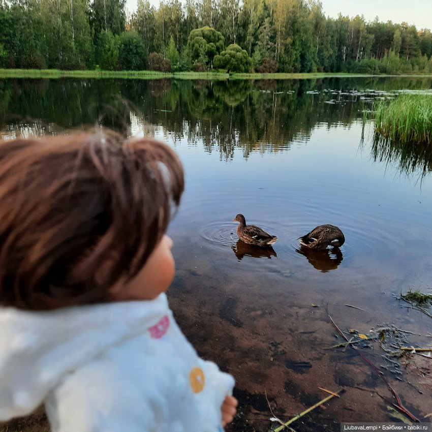 Осень в нашем городке — Куклы Sylvia Natterer (Сильвия Наттерер): Gotz