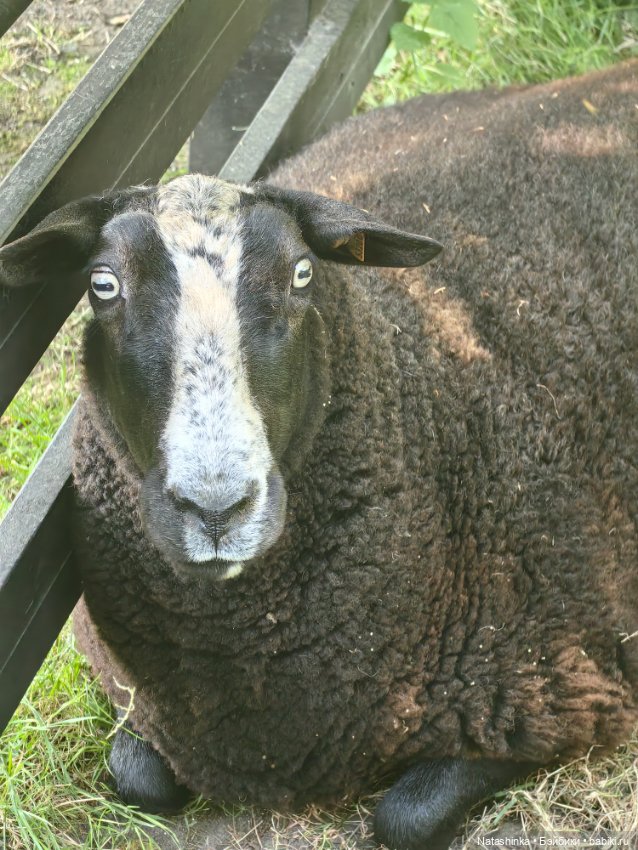 Музыкальная История 40 — Туризм и путешествия: фотоотчеты из поездок