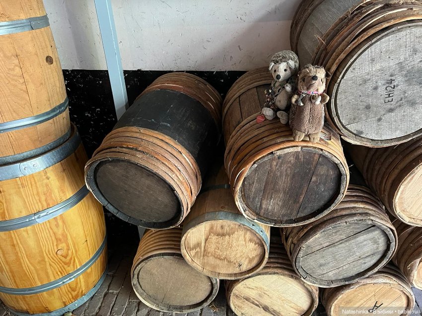 Музыкальная История 41 — Туризм и путешествия: фотоотчеты из поездок