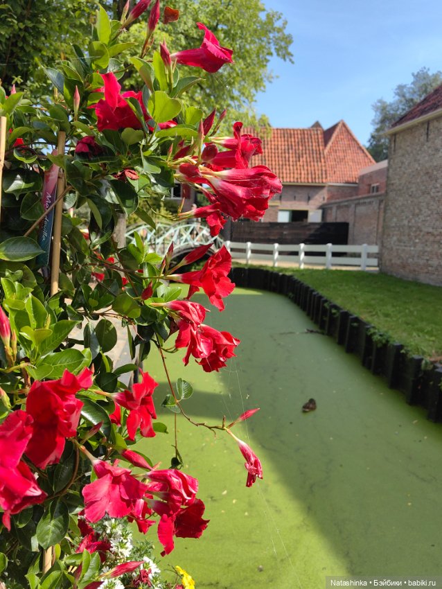 Музыкальная История 41 — Туризм и путешествия: фотоотчеты из поездок