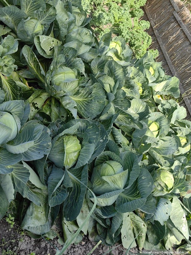 Музыкальная История 41 — Туризм и путешествия: фотоотчеты из поездок