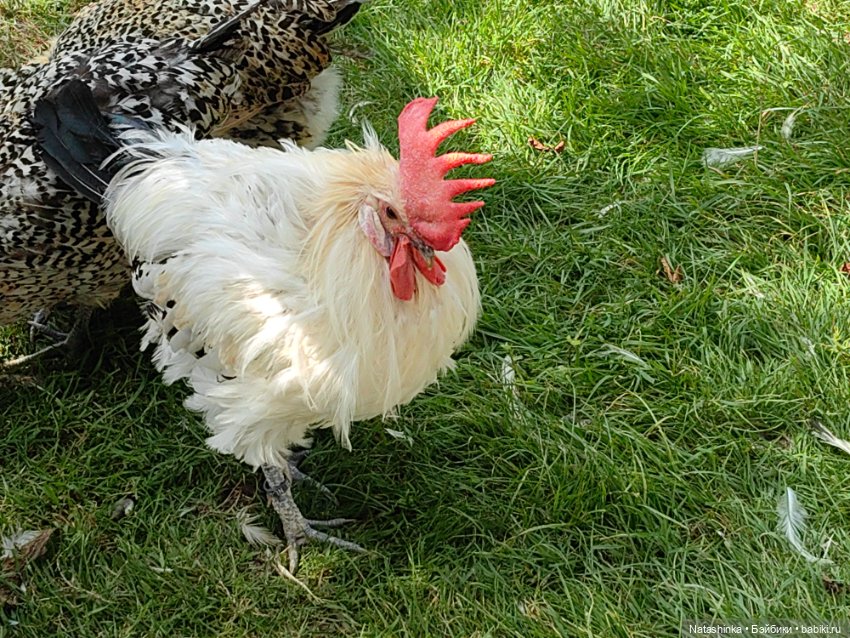 Музыкальная История 41 — Туризм и путешествия: фотоотчеты из поездок