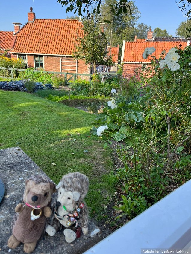 Музыкальная История 40 — Туризм и путешествия: фотоотчеты из поездок (фото 2)