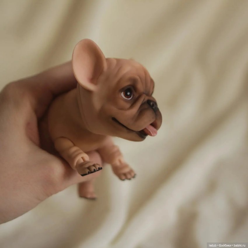 Хорошо забытое старое. Французский бульдог (фото 4)